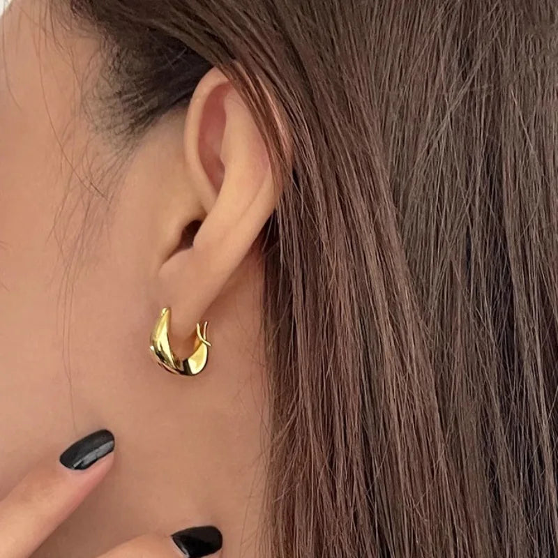 Gold & Silver Earrings