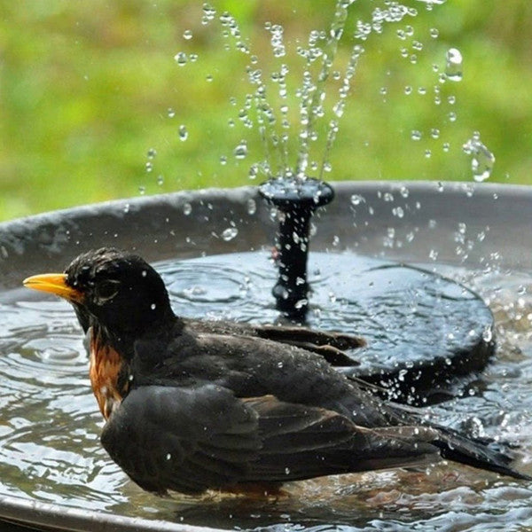Solar Water Fountain for Garden – Eco-Friendly Outdoor Solar-Powered Fountain, Gift for Garden Lovers, Garden Fountain | Unique lebal